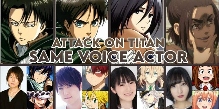 Attack on Titan Voice Actors