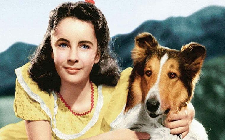 Disney dog films - Lassie Come Home